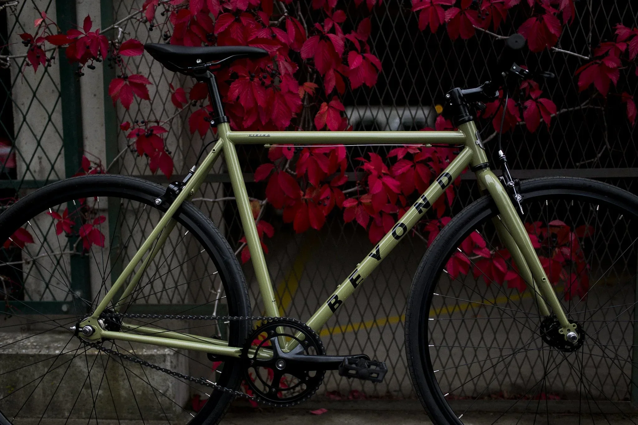 Beyond Cycles Viking Green - Image 12