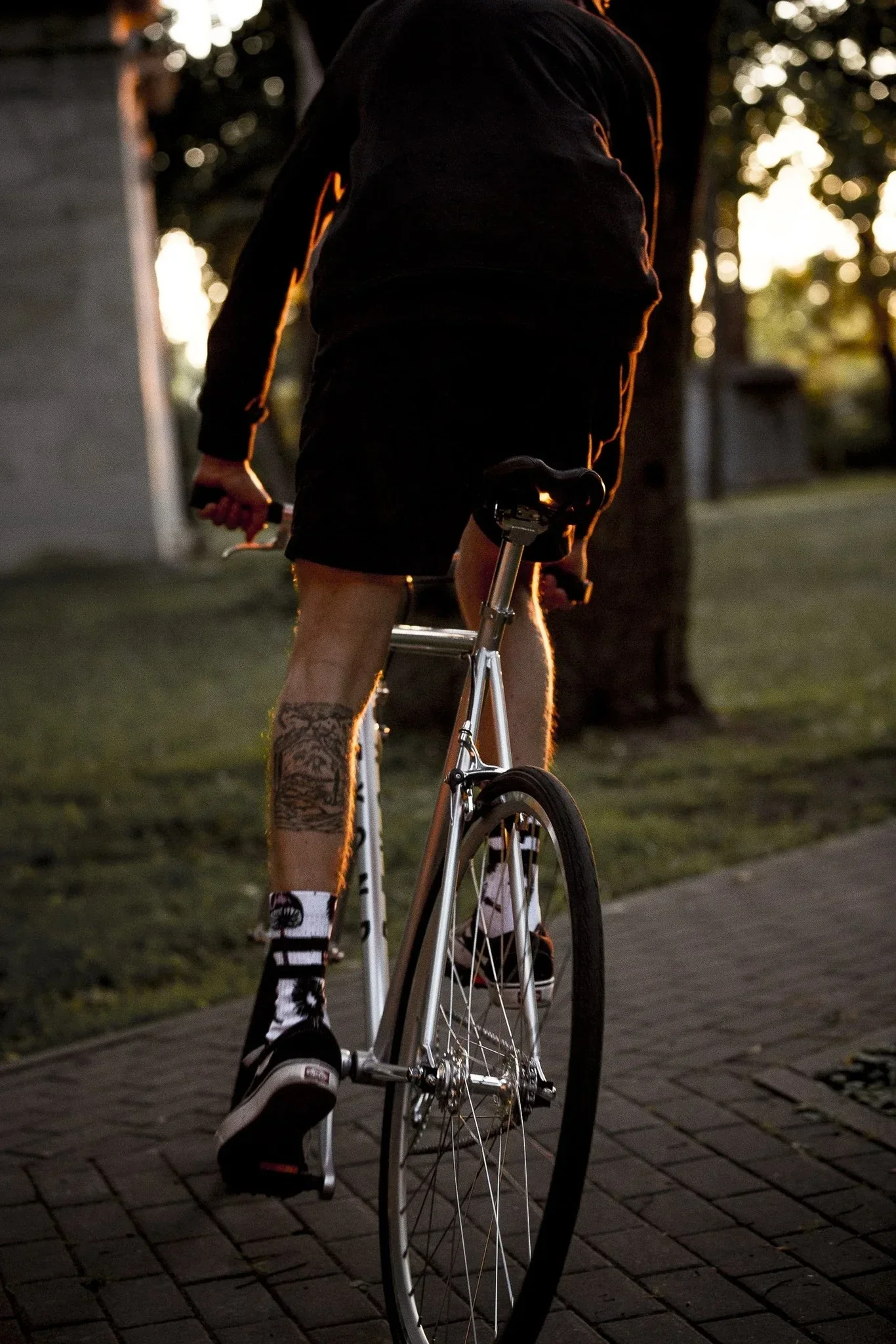 Beyond Cycles Viking Silver - Image 6
