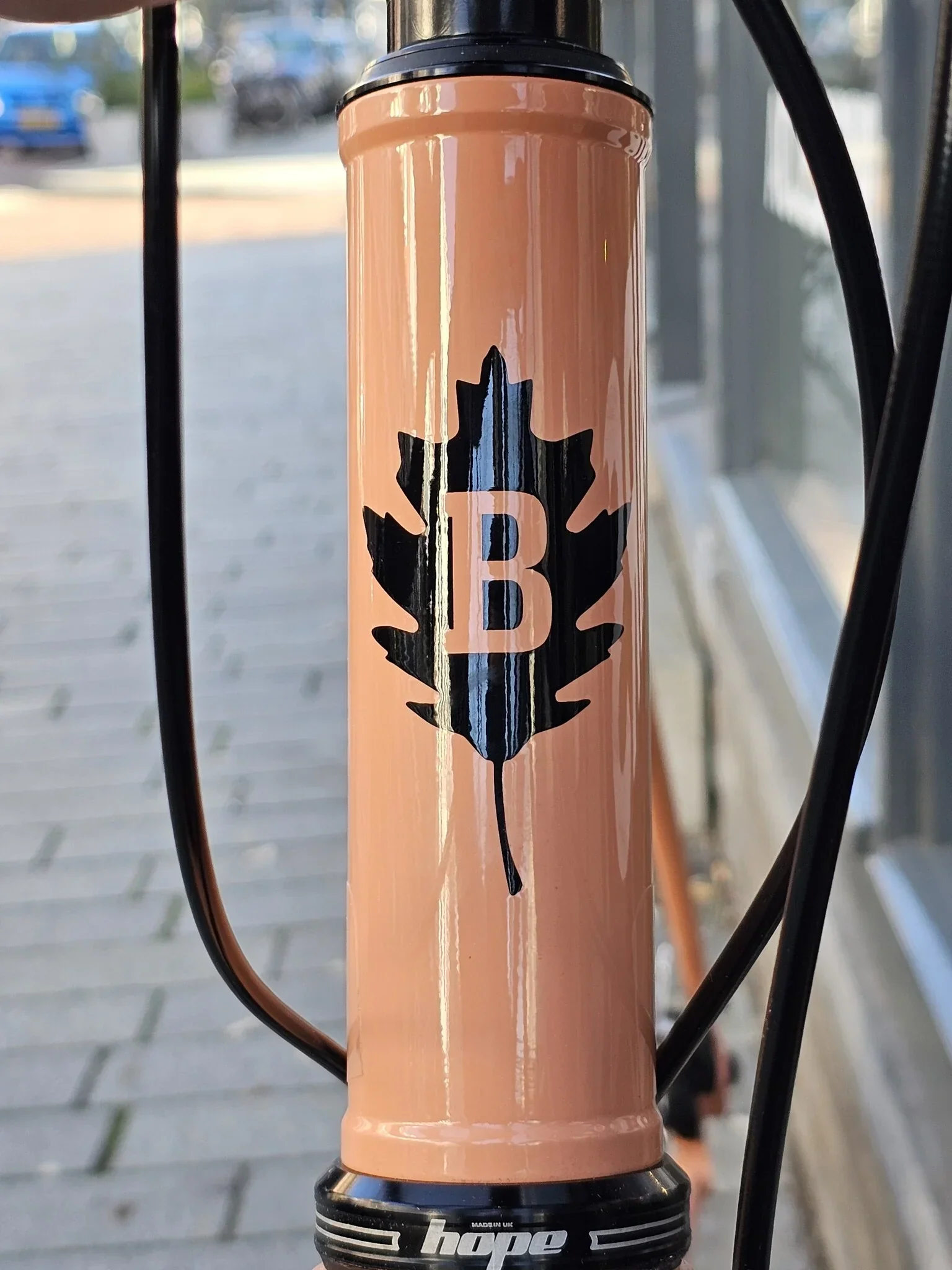 Brother Cycles Stroma Complete Custom Pink Clay Large - Image 4