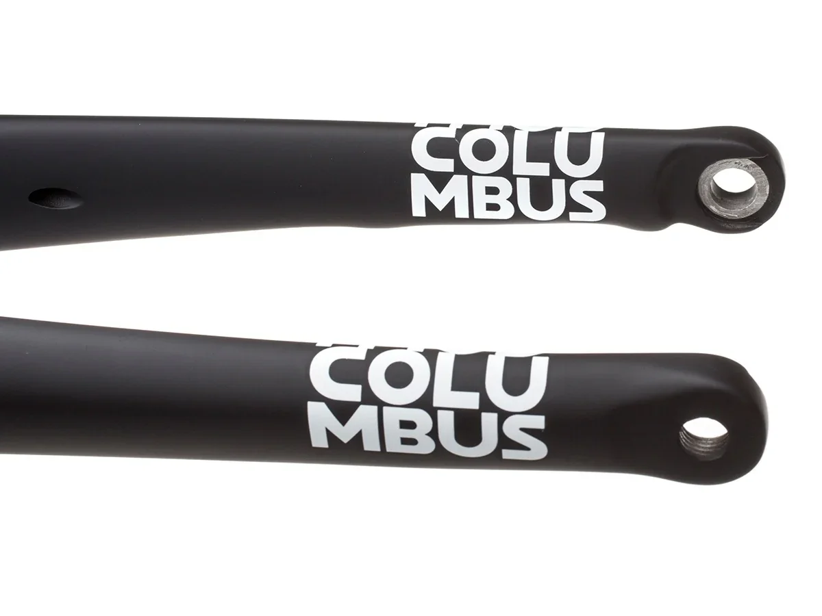 Columbus Futura Disc Carbon Fork - Image 2