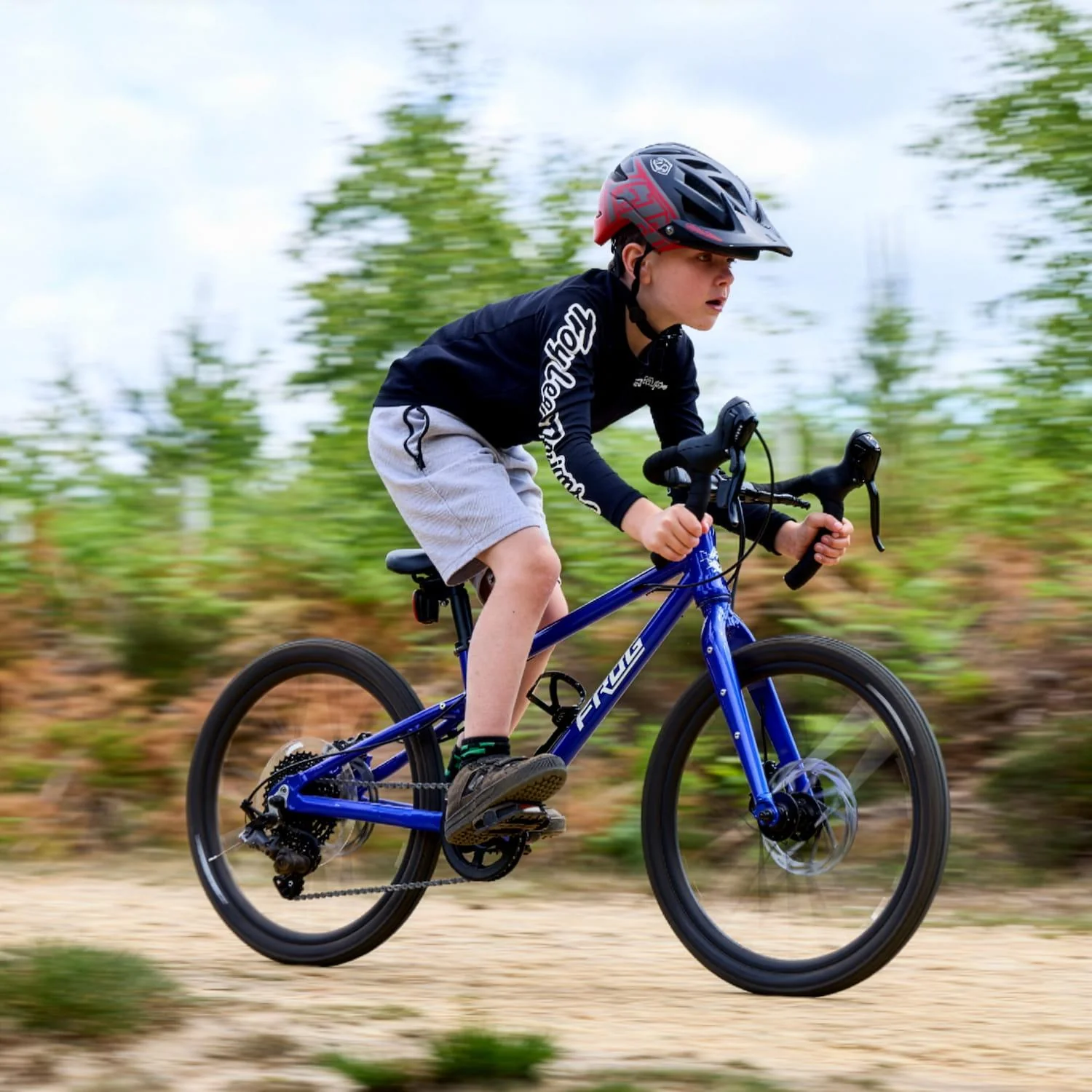 Frog Gravel 53 - Image 5