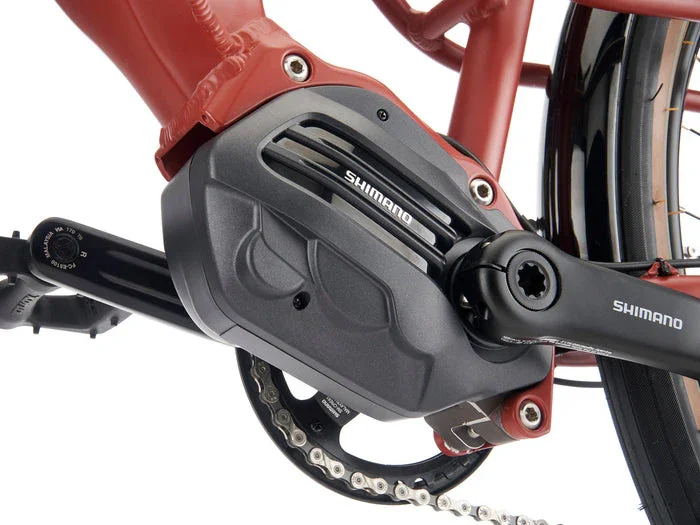 Kona Ecoco - Image 10