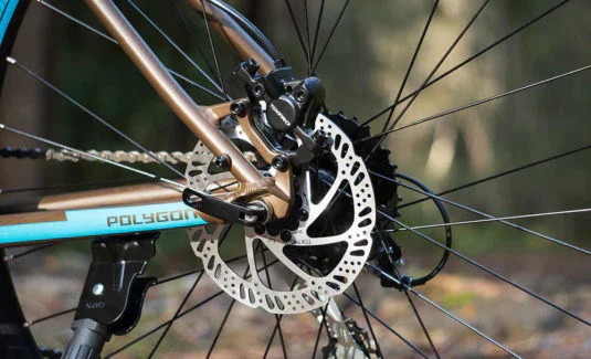 Polygon Premier 4 - Image 4