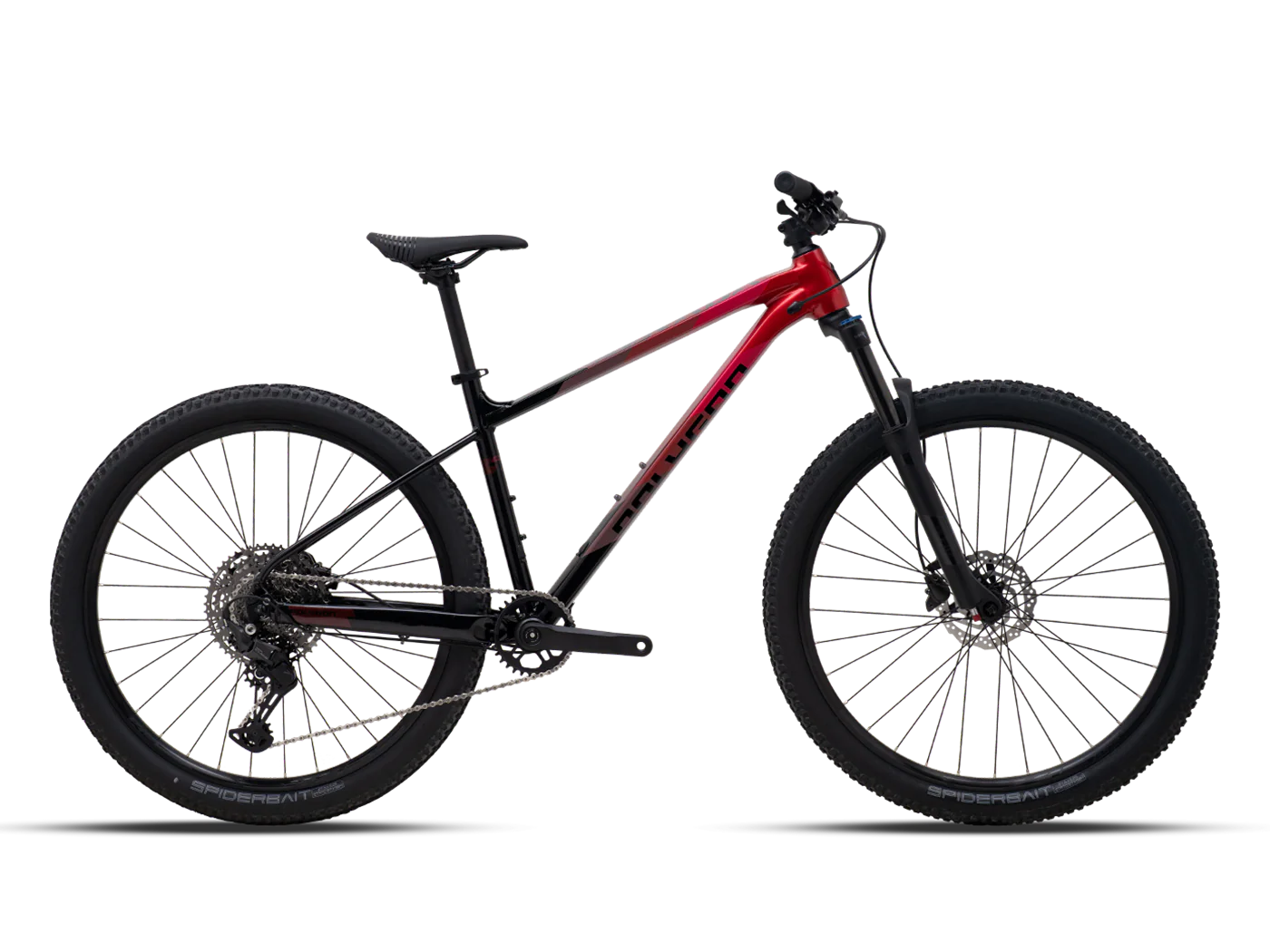 Polygon Xtrada 6