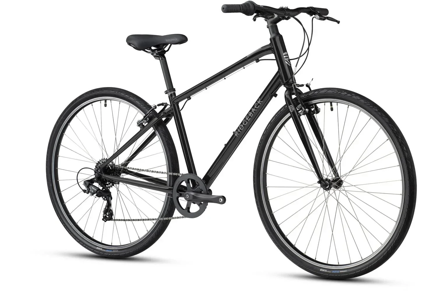 Ridgeback Comet - Image 4