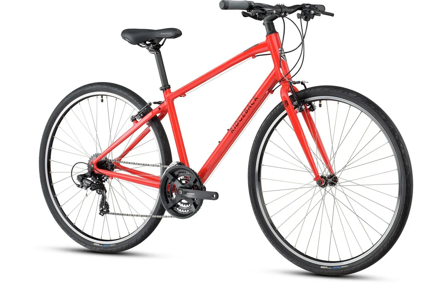 Ridgeback Motion - Image 4