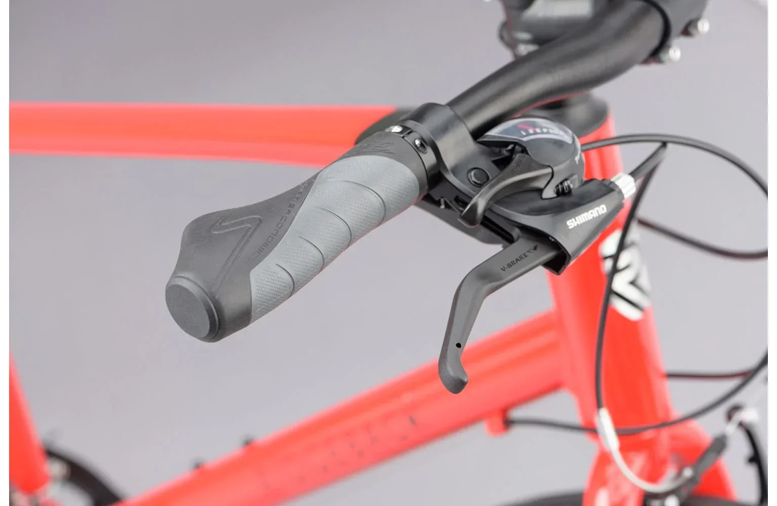 Ridgeback Motion - Image 9