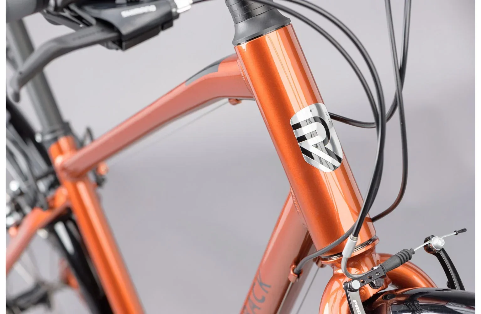 Ridgeback Speed - Image 7