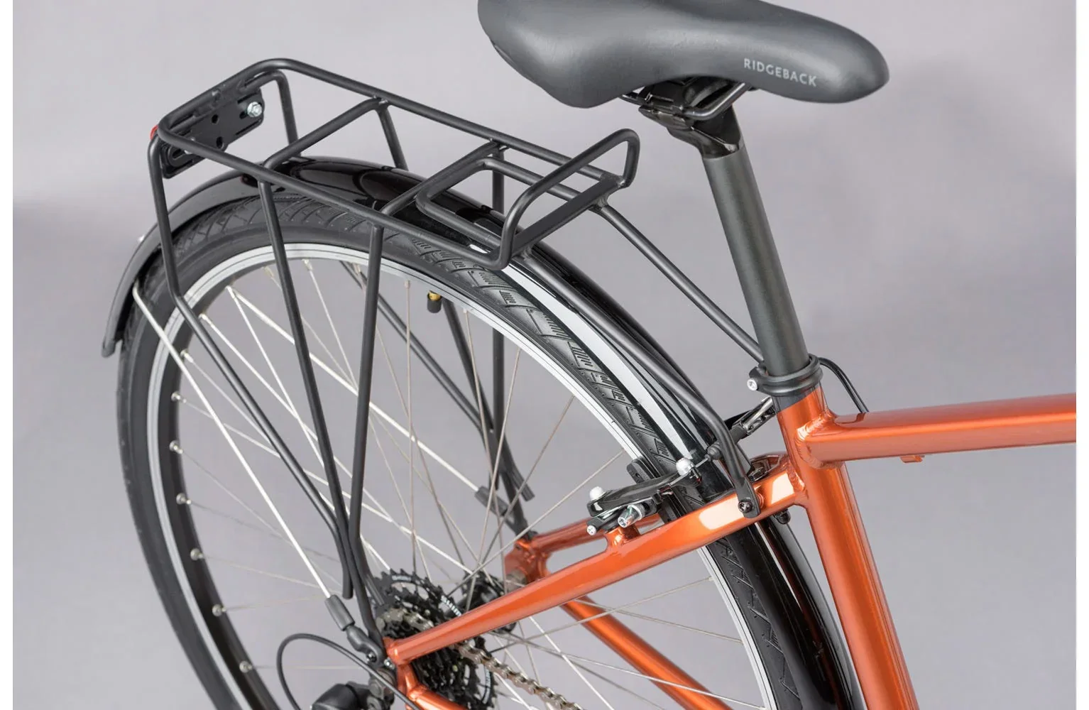 Ridgeback Speed - Image 9
