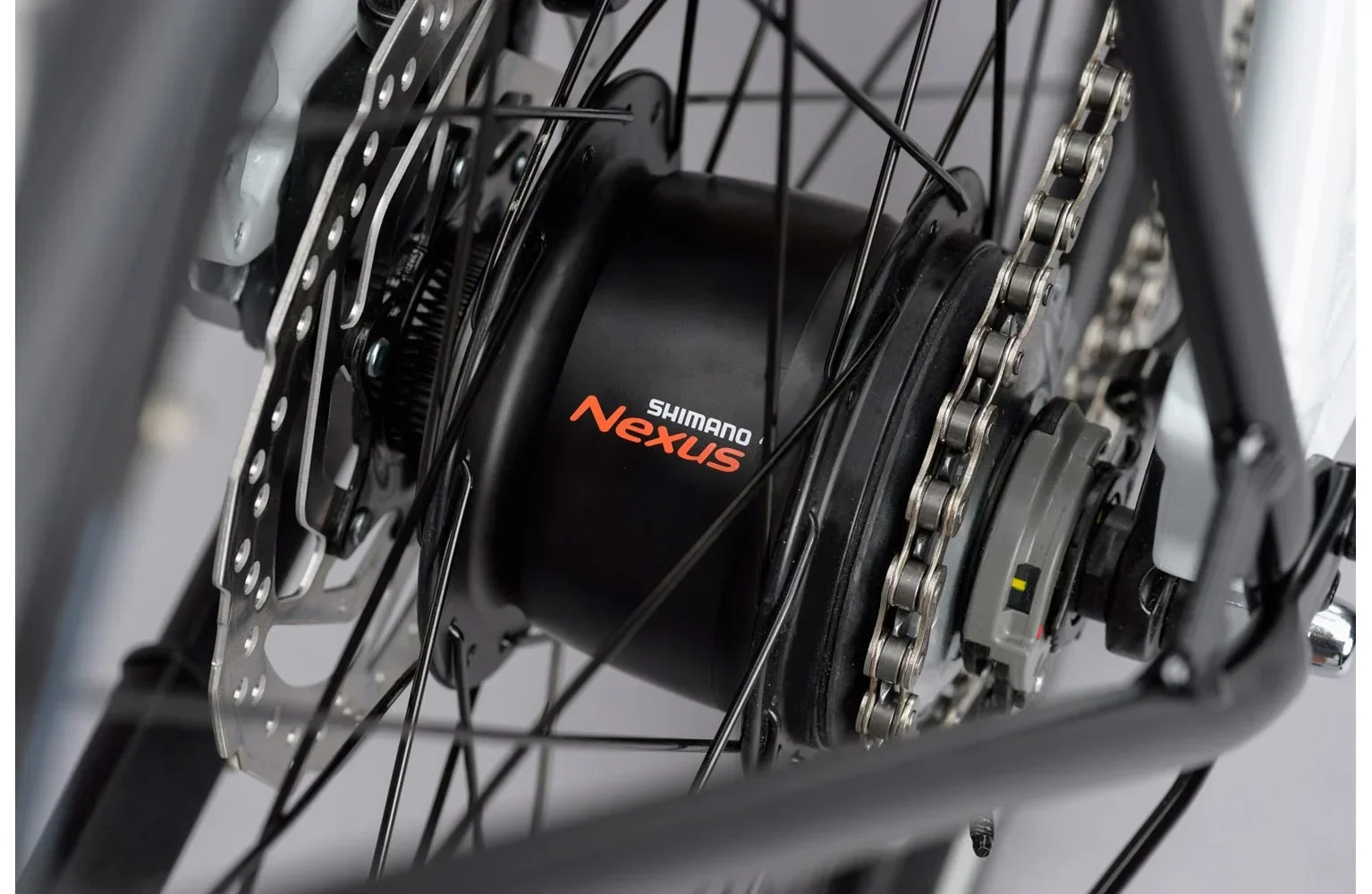 Ridgeback Supernova EQ - Image 5
