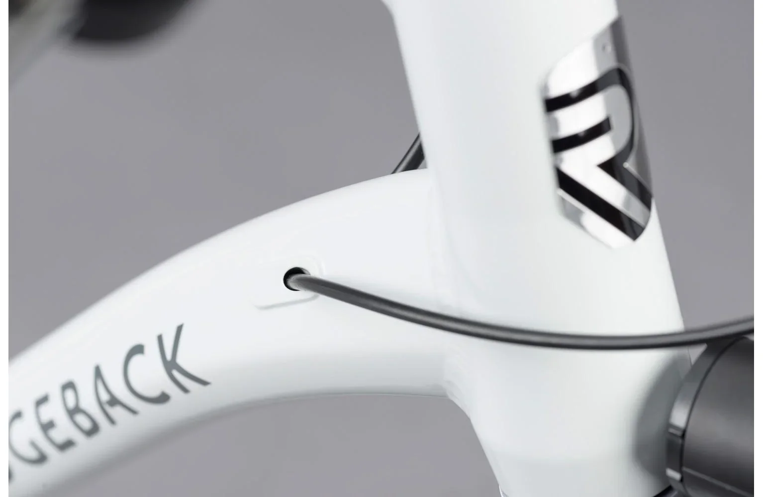 Ridgeback Supernova EQ - Image 6