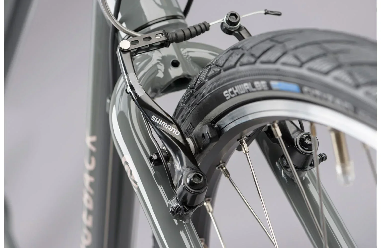Ridgeback Velocity - Image 4