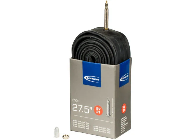 Schwalbe Tube 21