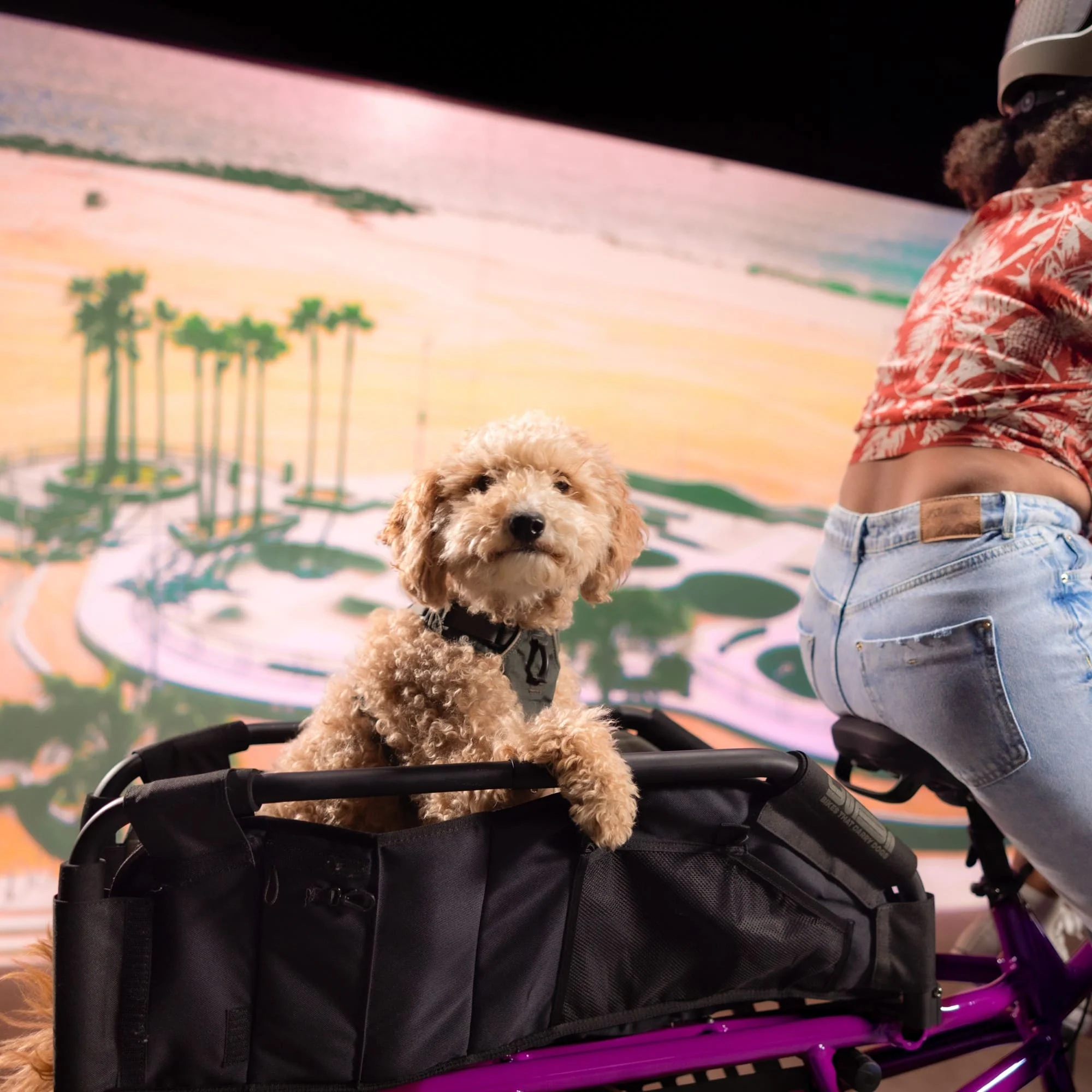 Yuba Woof Top - Image 4